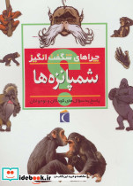چراهای شگفت انگیز شمپانزه ها
