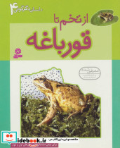 از تخم تا قورباغه - تصویر 2