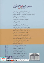 مجنون بی جنون - تصویر 2