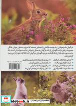 خرگوش نشر جاجرمی - تصویر 2