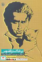 بر خاکستر ققنوس