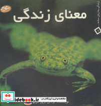 معنای زندگی نشر سایه گستر