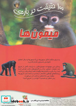 میمون ها نشر سایه گستر - تصویر 2