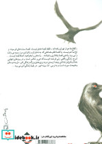 کلاغ ها هم از تهران رفته اند - تصویر 2