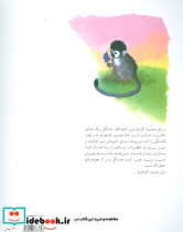 میمونی که ماه را می خواست - تصویر 4