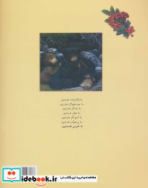 ما خرس هستیم - تصویر 2