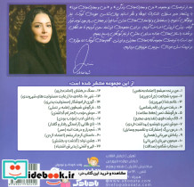لاک پشت قوی - تصویر 2