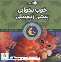 خوب بخوابی پیشی زنجبیلی
