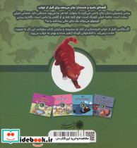 خوب بخوابی پیشی زنجبیلی - تصویر 2