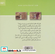 ظرف های قابل بازیافت - تصویر 2