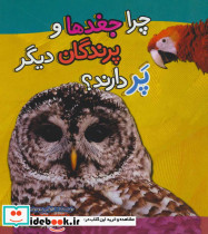 چرا جغدها و پرندگان دیگر پر دارند؟