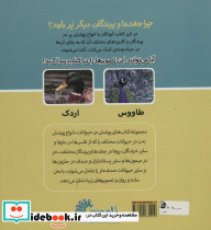 چرا جغدها و پرندگان دیگر پر دارند؟ - تصویر 2