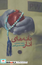 دانه های انار