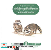 طبیعت در خطر است - تصویر 2