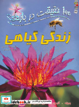 100 حقیقت32