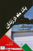 یک ماه در زندان