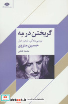 گریختن در مه