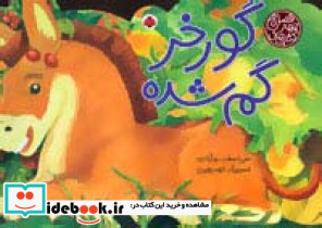 کتاب های 4 فصل گورخر گم شده نشر شهر قلم - تصویر 3
