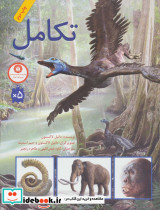 تکامل نشر فاطمی