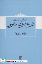 اندک گستاخ و بیش مودب در حضرت مثنوی