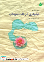 مجموعه شعر نیلوفری در قلب مرداب