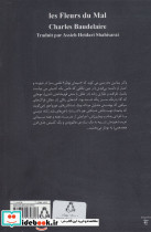مثل 1 کوسه ماهی در موج - تصویر 2