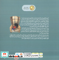 دوباره یادم رفت اجازه بگیرم - تصویر 2