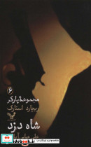 مجموعه پارکر 6