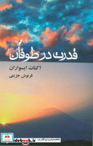 قدرت در طوفان