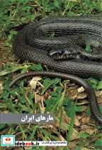 مارهای ایران