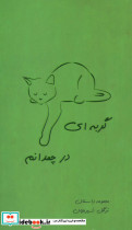 گربه ای در چمدانم
