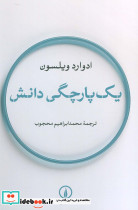 یک پارچگی دانش