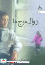 زوال موج ها نشر پویا - تصویر 5