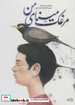 مرغک مینای من