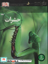 حشرات شاهد عینی نشر نردبان