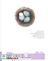 بچه ها از کجا می آیند - تصویر 2