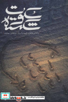 سکوت شکسته - تصویر 2