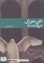 دامن به خاک می کشد ماه - تصویر 2