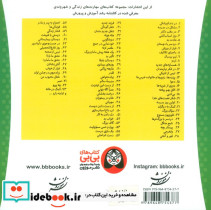 خانواده خرس ها32 - تصویر 2