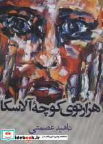 هزارتوی کوچه آلاسکا - تصویر 2