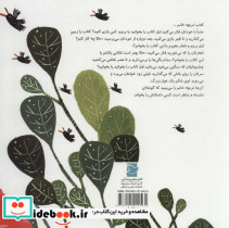 تربچه خانم - تصویر 2