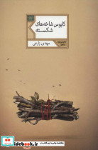 کابوس شاخه های شکسته نشر شهرستان ادب