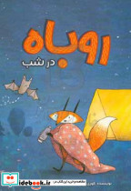 روباه در شب