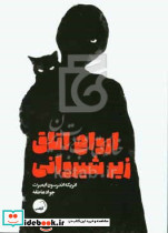 ارواح اتاق زیر شیروانی نشر آیاس