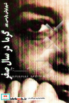گرما در سال صفر