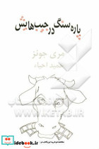 پاره سنگ در جیب هایش نمایشنامه