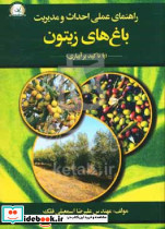 راهنمای عملی احداث و مدیریت باغ های زیتون
