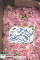 مرلین مونرو غمگین نیست