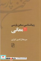 زیباشناسی سخن پارسی 2 معانی