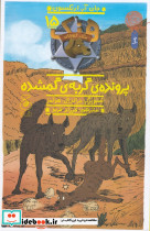 هنک سگ گاوچران 15 پرونده ی گربه ی گمشده